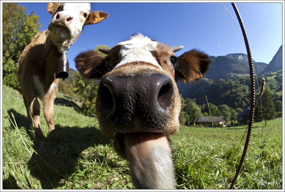programme dexposition priorité à louverture flash no, mode